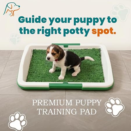 Reusable Puppy Potty Training Tray 🐶🌱