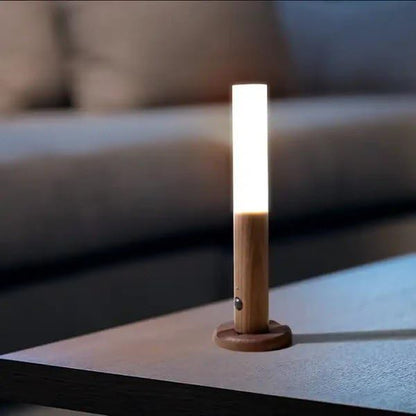 Sensor Light for Home with USB Charging Wireless