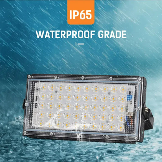LED Flood Light