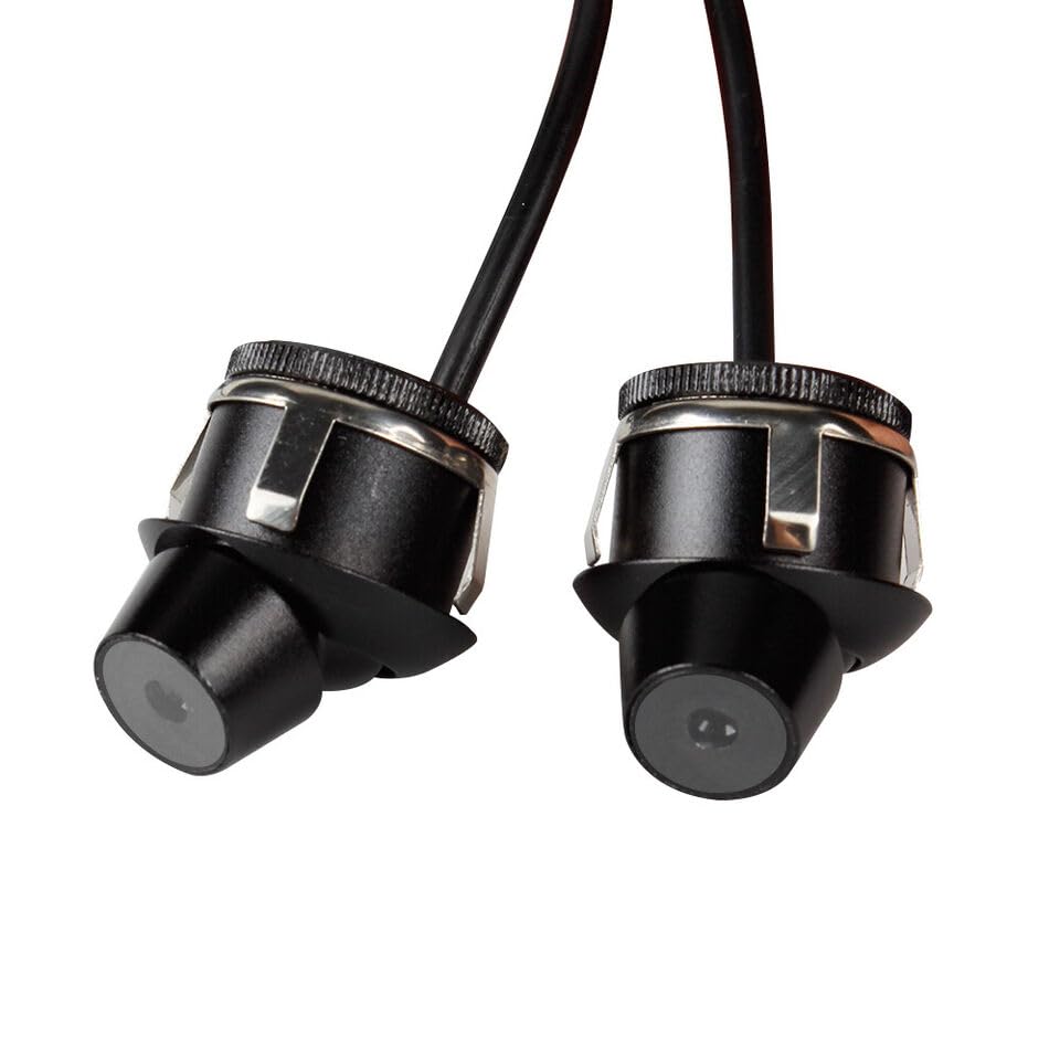 Car Angel Wing Laser Projector Light