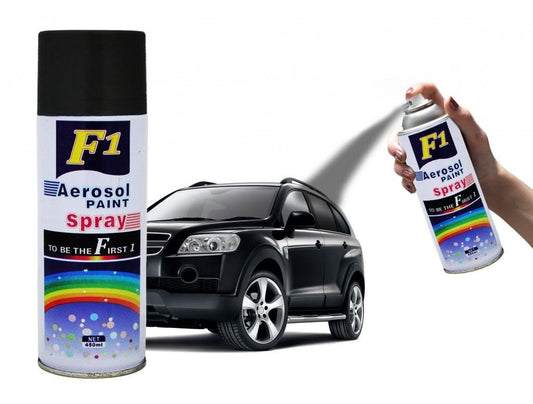 F1 Car Touchup Spray Paint