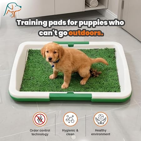 Reusable Puppy Potty Training Tray 🐶🌱