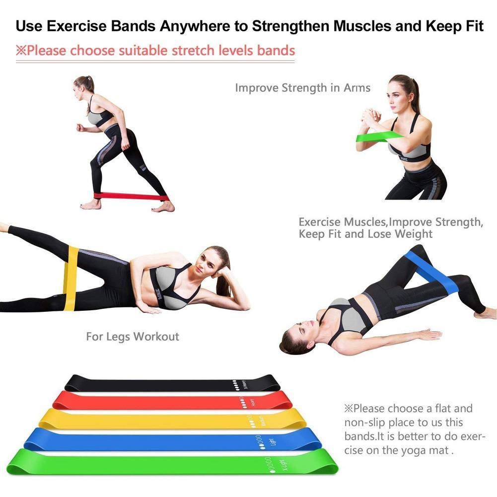Premium Resistance Loop Exercise Belt