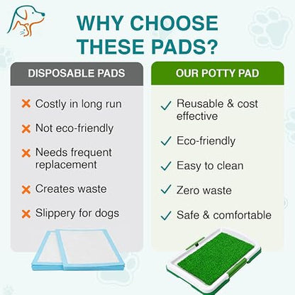 Reusable Puppy Potty Training Tray 🐶🌱