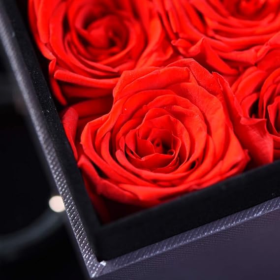 Video Box With 9 Eternal roses
