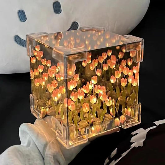Crystal Decorative Light Box