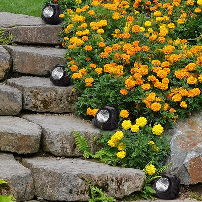 LED Solar Rock Lights – Set of 4 ☀️🪨✨