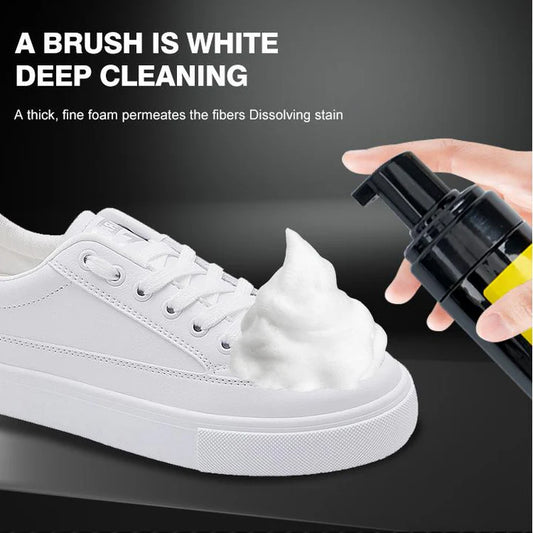 Shoe Cleaner Kit