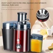 Juice Extractor Machine RAF R2852 800W 0.6L