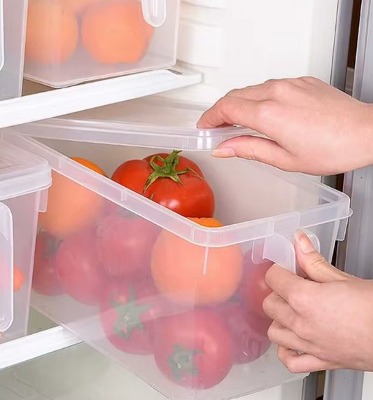 Clear Plastic Kitchen Fridge Holder