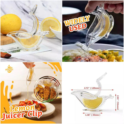Transparent Hand Fruit Juicer